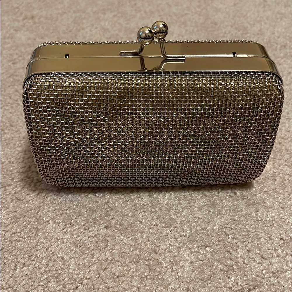 Silver Mesh Evening Clutch